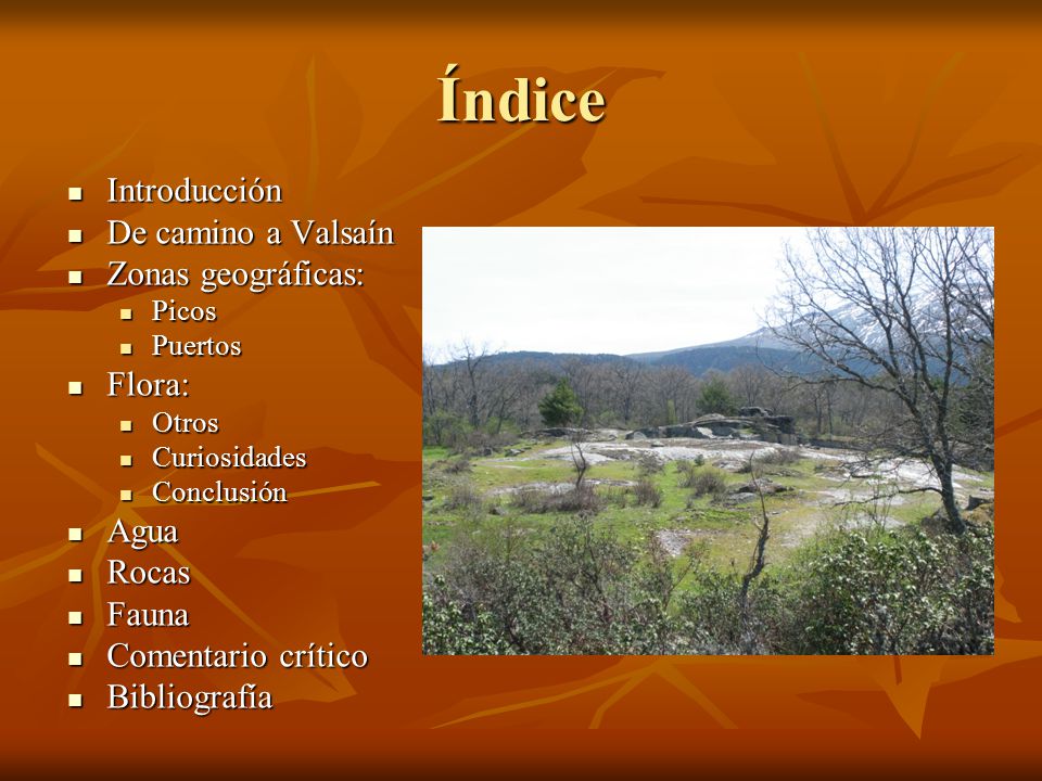 Índice Introducción De camino a Valsaín Zonas geográficas: Flora: Agua