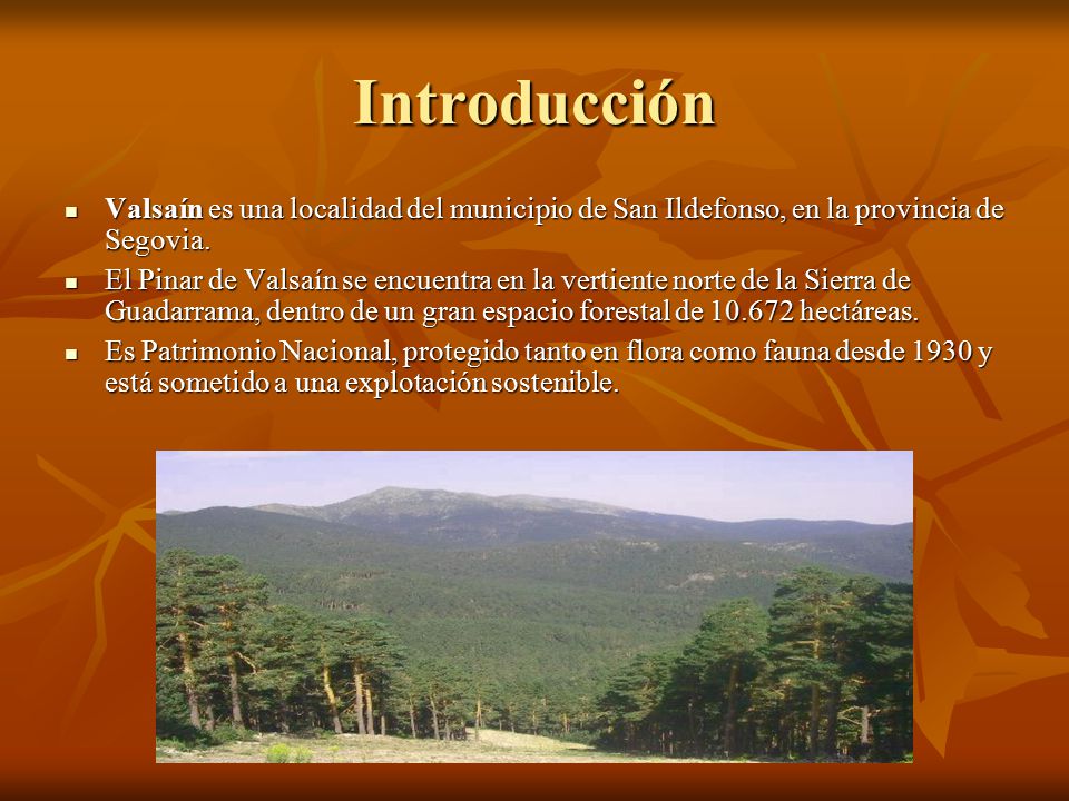 Introducción Valsaín es una localidad del municipio de San Ildefonso, en la provincia de Segovia.