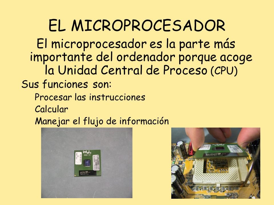 EL MICROPROCESADOR El microprocesador es la parte más importante del ordenador porque acoge la Unidad Central de Proceso (CPU)