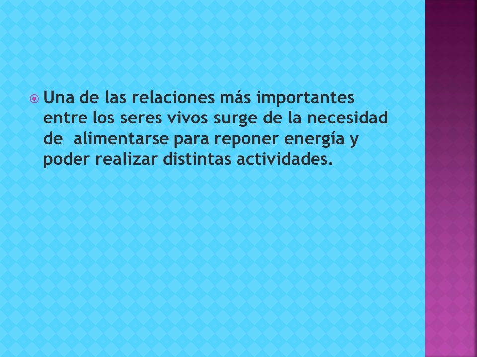 Una de las relaciones más importantes entre los seres vivos surge de la necesidad de alimentarse para reponer energía y poder realizar distintas actividades.