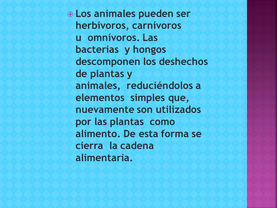 Los animales pueden ser herbívoros, carnívoros u omnívoros