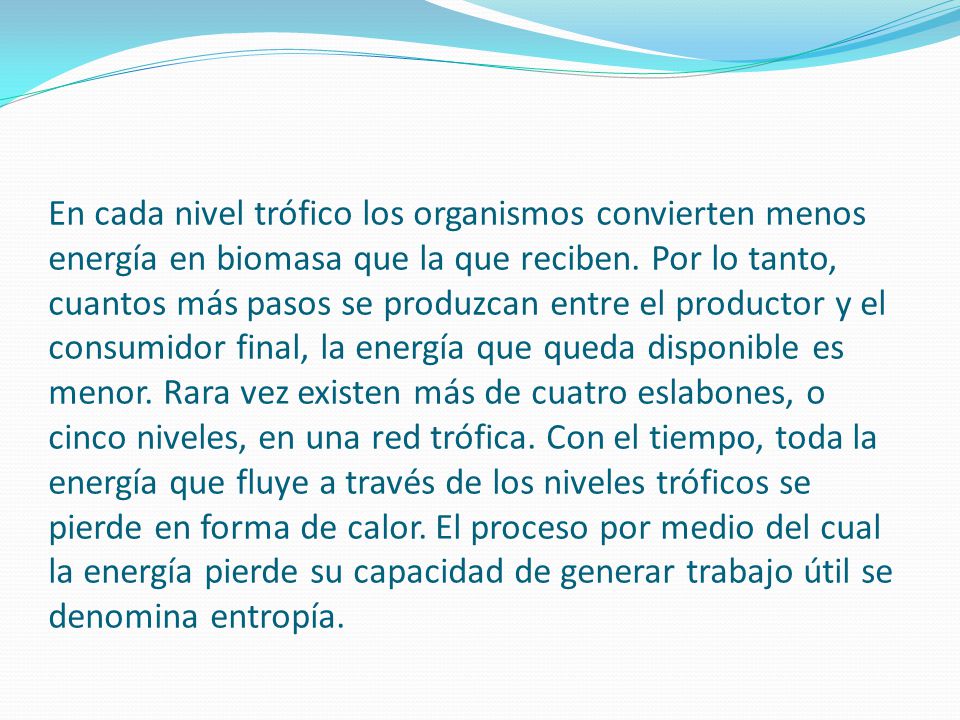 En cada nivel trófico los organismos convierten menos energía en biomasa que la que reciben.