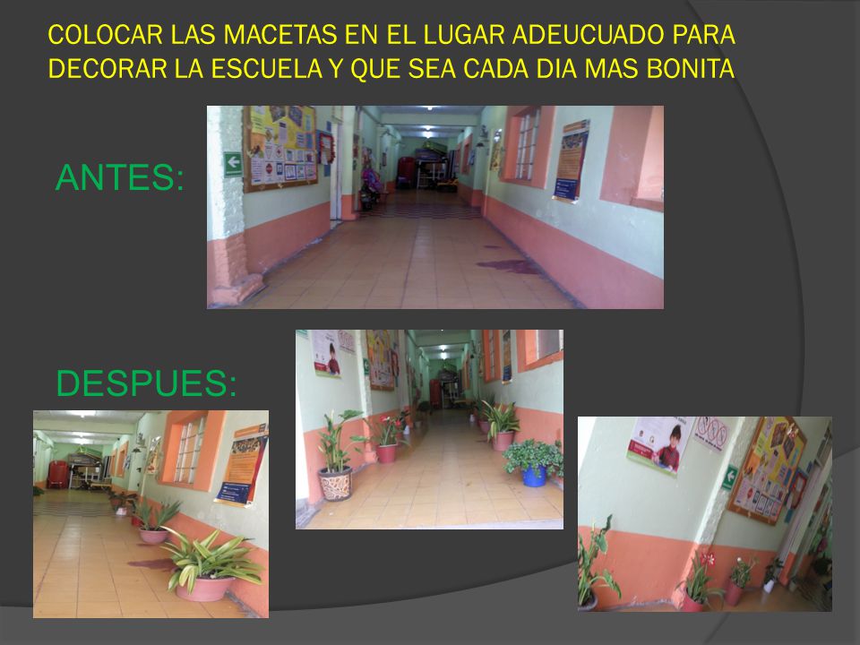 COLOCAR LAS MACETAS EN EL LUGAR ADEUCUADO PARA DECORAR LA ESCUELA Y QUE SEA CADA DIA MAS BONITA