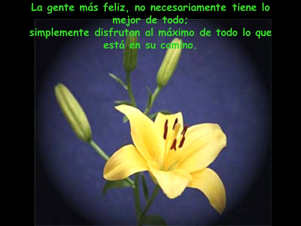 La gente más feliz, no necesariamente tiene lo mejor de todo;