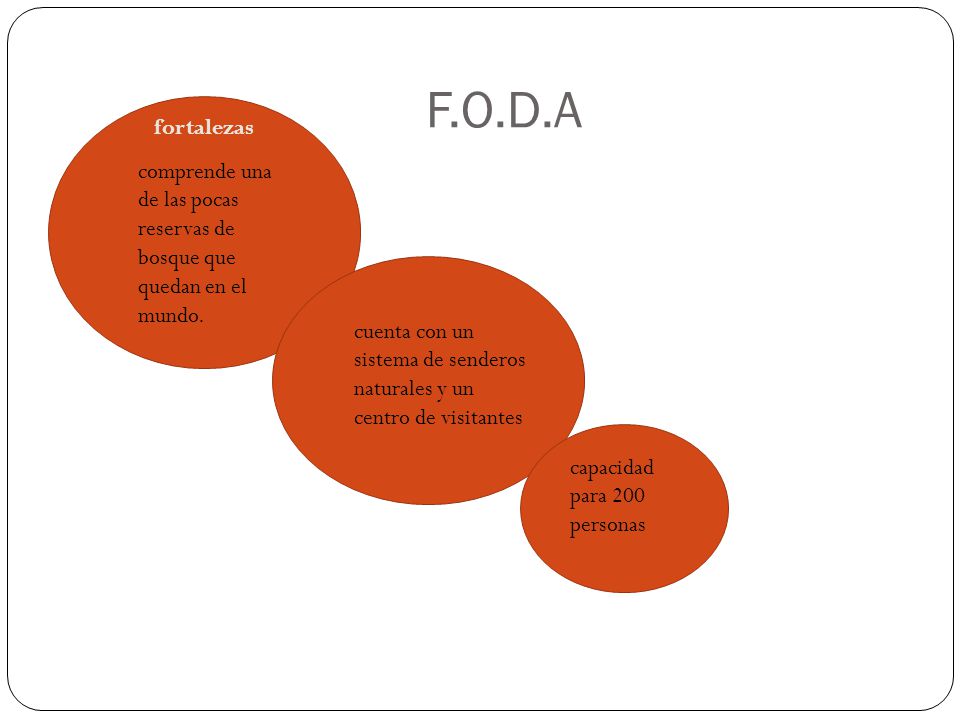 F.O.D.A fortalezas. comprende una de las pocas reservas de bosque que quedan en el mundo.
