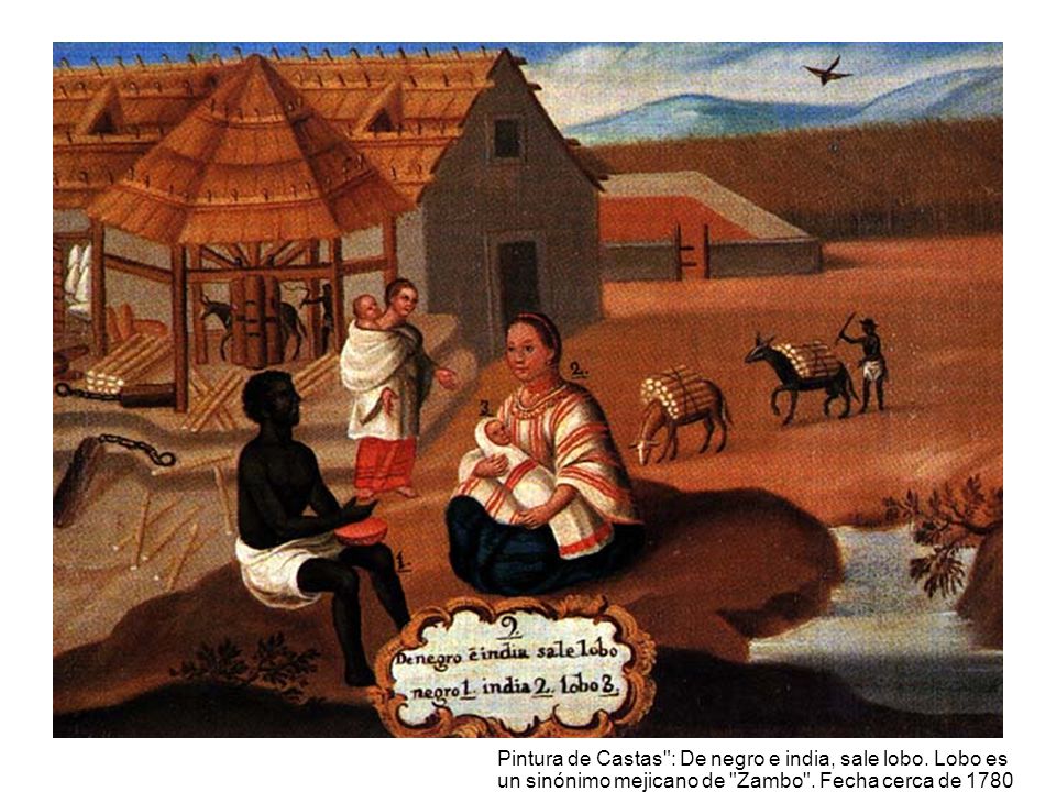 De negro e india: Zambo Pintura de Castas : De negro e india, sale lobo.