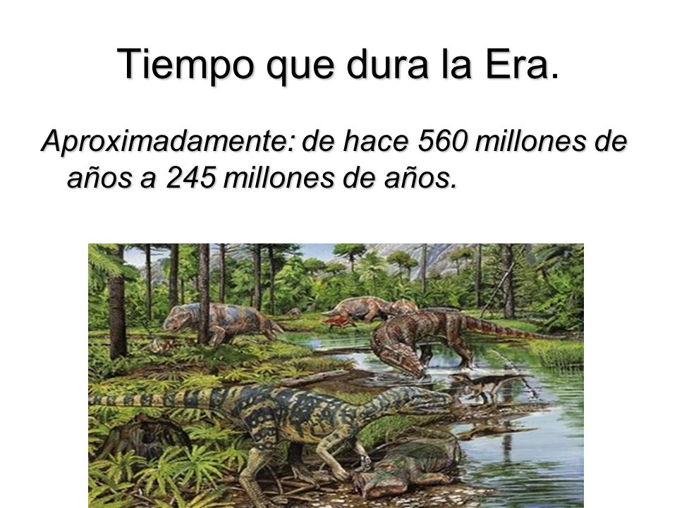 Tiempo que dura la Era. Aproximadamente: de hace 560 millones de años a 245 millones de años.
