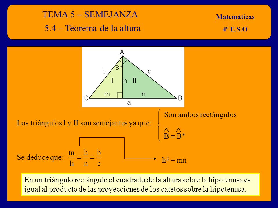 TEMA 5 – SEMEJANZA 5.4 – Teorema de la altura  Son ambos rectángulos
