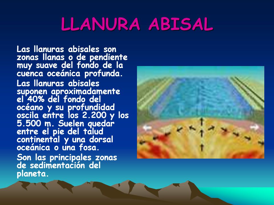 LLANURA ABISAL Las llanuras abisales son zonas llanas o de pendiente muy suave del fondo de la cuenca oceánica profunda.