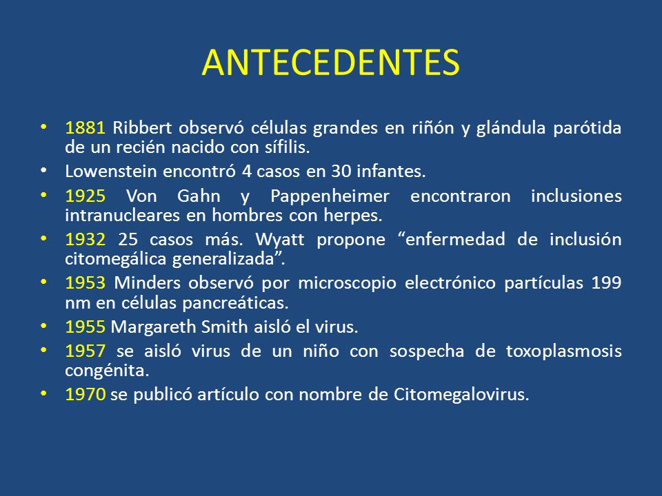 ANTECEDENTES 1881 Ribbert observó células grandes en riñón y glándula parótida de un recién nacido con sífilis.