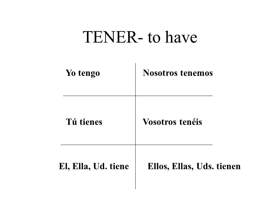 TENER- to have Yo tengo Nosotros tenemos Tú tienes Vosotros tenéis