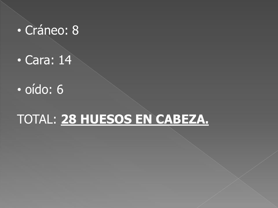 Cráneo: 8 Cara: 14 oído: 6 TOTAL: 28 HUESOS EN CABEZA.