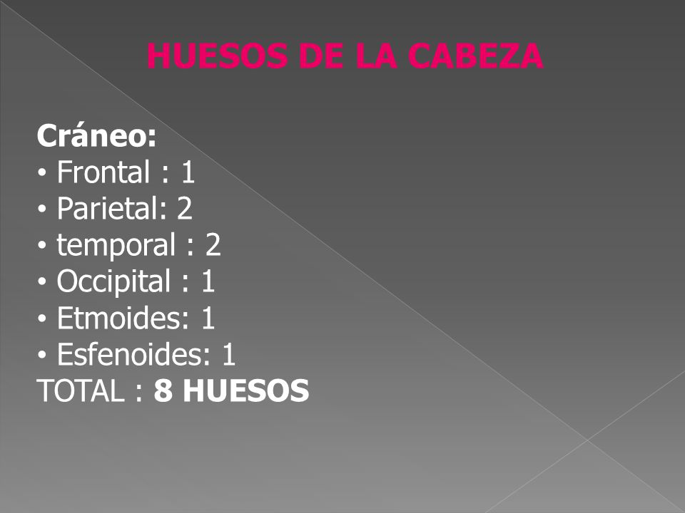 HUESOS DE LA CABEZA Cráneo: Frontal : 1 Parietal: 2 temporal : 2