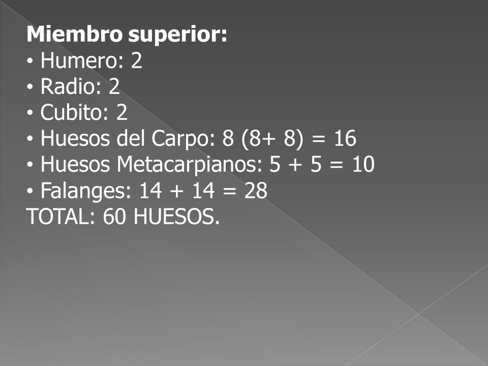 Miembro superior: Humero: 2. Radio: 2. Cubito: 2. Huesos del Carpo: 8 (8+ 8) = 16. Huesos Metacarpianos: = 10.