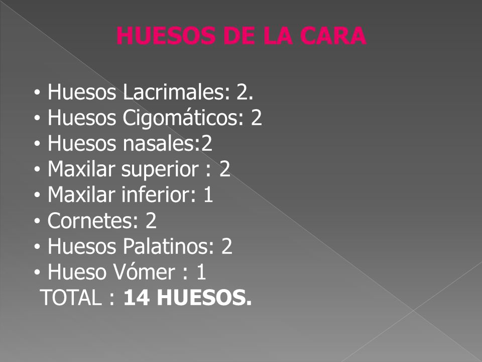HUESOS DE LA CARA Huesos Lacrimales: 2. Huesos Cigomáticos: 2