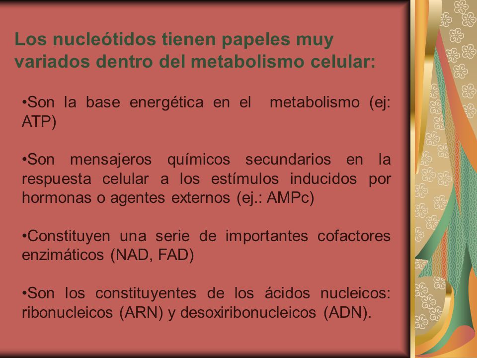 Los nucleótidos tienen papeles muy variados dentro del metabolismo celular: