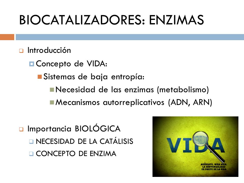 BIOCATALIZADORES: ENZIMAS