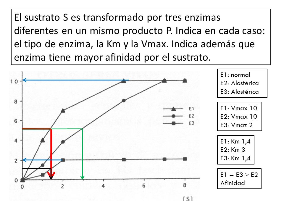El sustrato S es transformado por tres enzimas diferentes en un mismo producto P. Indica en cada caso: el tipo de enzima, la Km y la Vmax. Indica además que enzima tiene mayor afinidad por el sustrato.