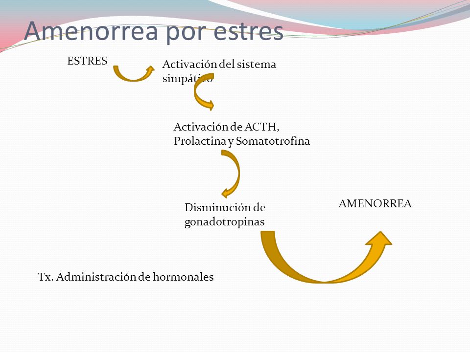 Amenorrea por estres ESTRES Activación del sistema simpático
