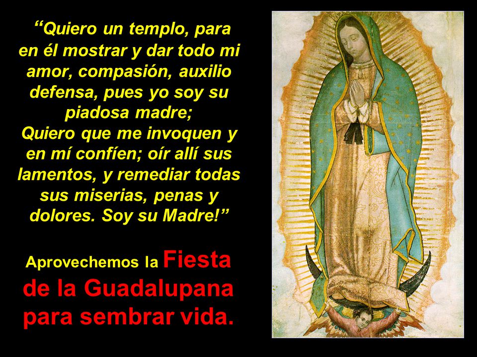 Quiero un templo, para en él mostrar y dar todo mi amor, compasión, auxilio defensa, pues yo soy su piadosa madre; Quiero que me invoquen y en mí confíen; oír allí sus lamentos, y remediar todas sus miserias, penas y dolores.