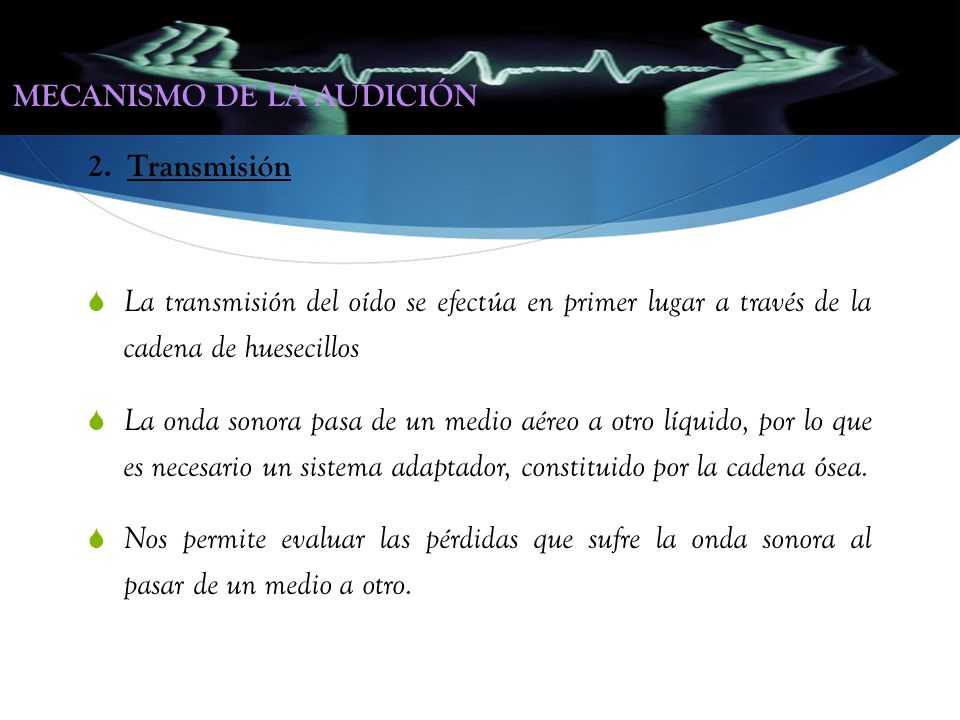 MECANISMO DE LA AUDICIÓN