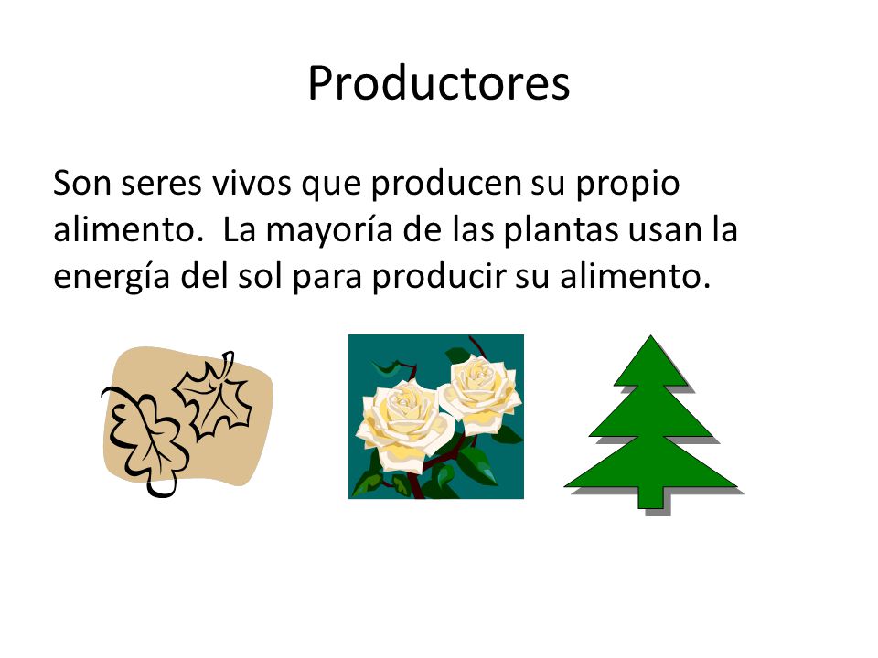 Productores Son seres vivos que producen su propio alimento.