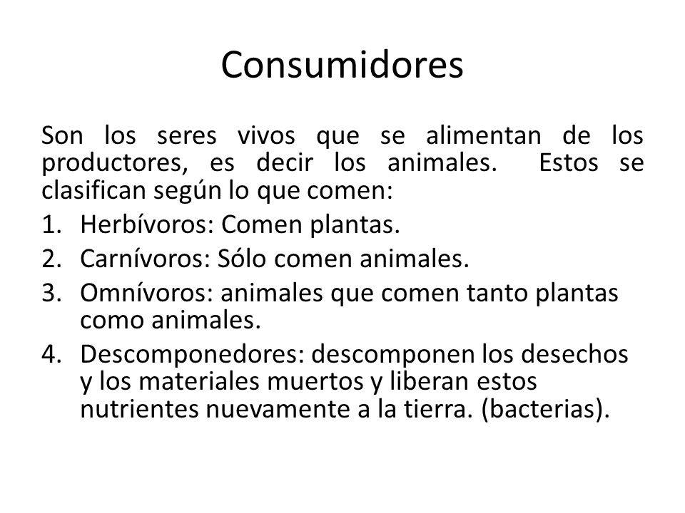 Consumidores Son los seres vivos que se alimentan de los productores, es decir los animales. Estos se clasifican según lo que comen: