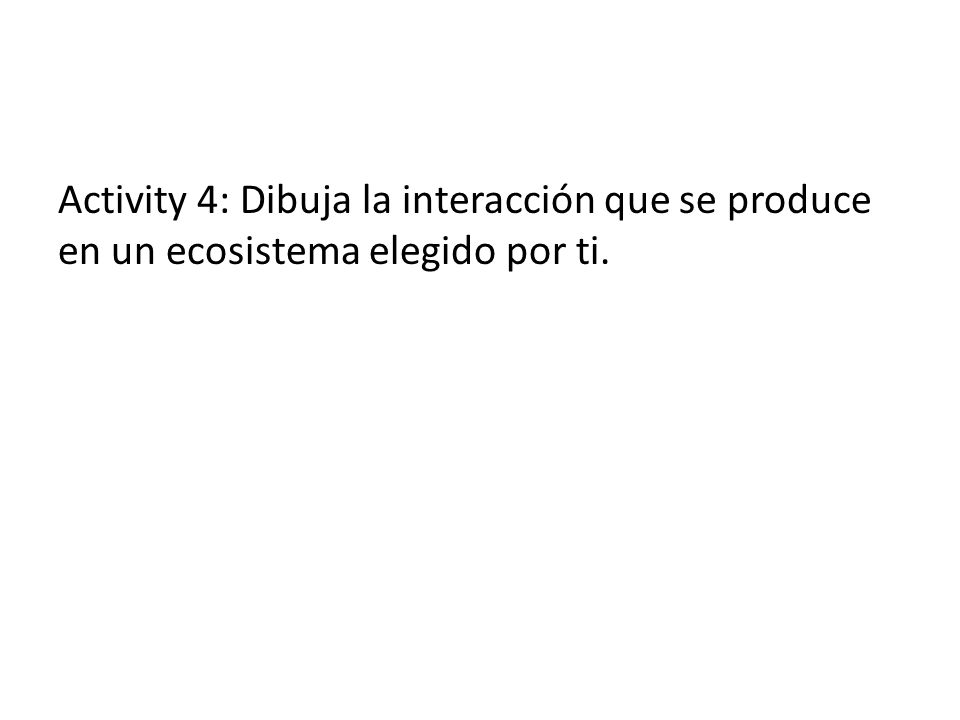 Activity 4: Dibuja la interacción que se produce en un ecosistema elegido por ti.