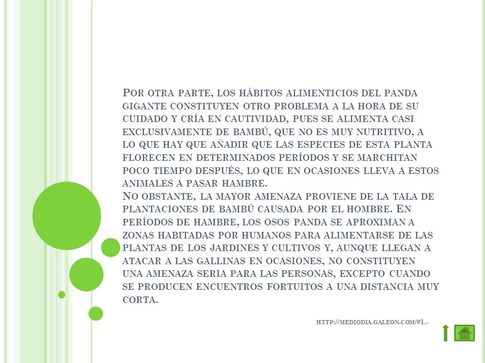 Por otra parte, los hábitos alimenticios del panda gigante constituyen otro problema a la hora de su cuidado y cría en cautividad, pues se alimenta casi exclusivamente de bambú, que no es muy nutritivo, a lo que hay que añadir que las especies de esta planta florecen en determinados períodos y se marchitan poco tiempo después, lo que en ocasiones lleva a estos animales a pasar hambre.