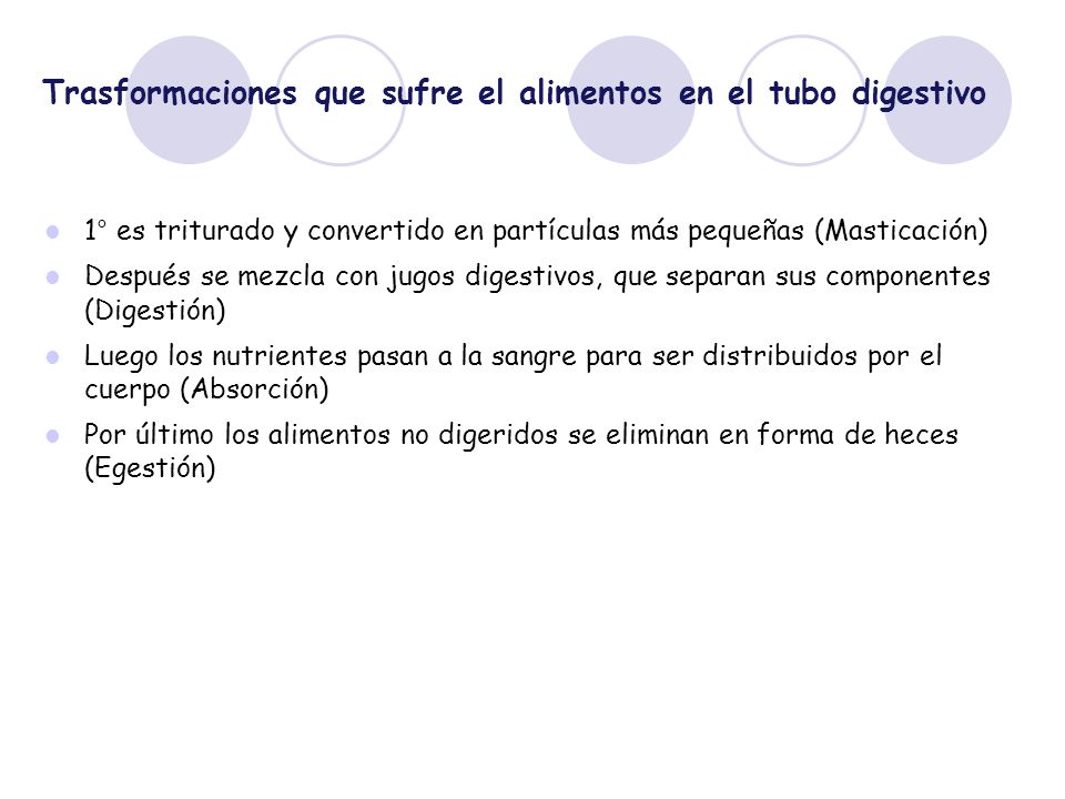 Trasformaciones que sufre el alimentos en el tubo digestivo