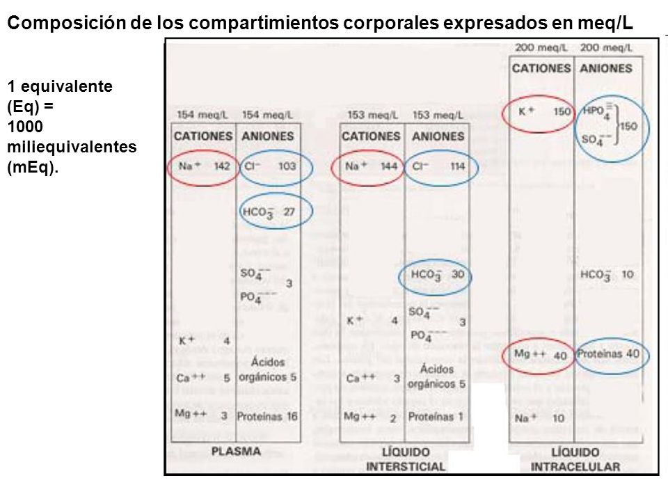 Composición de los compartimientos corporales expresados en meq/L