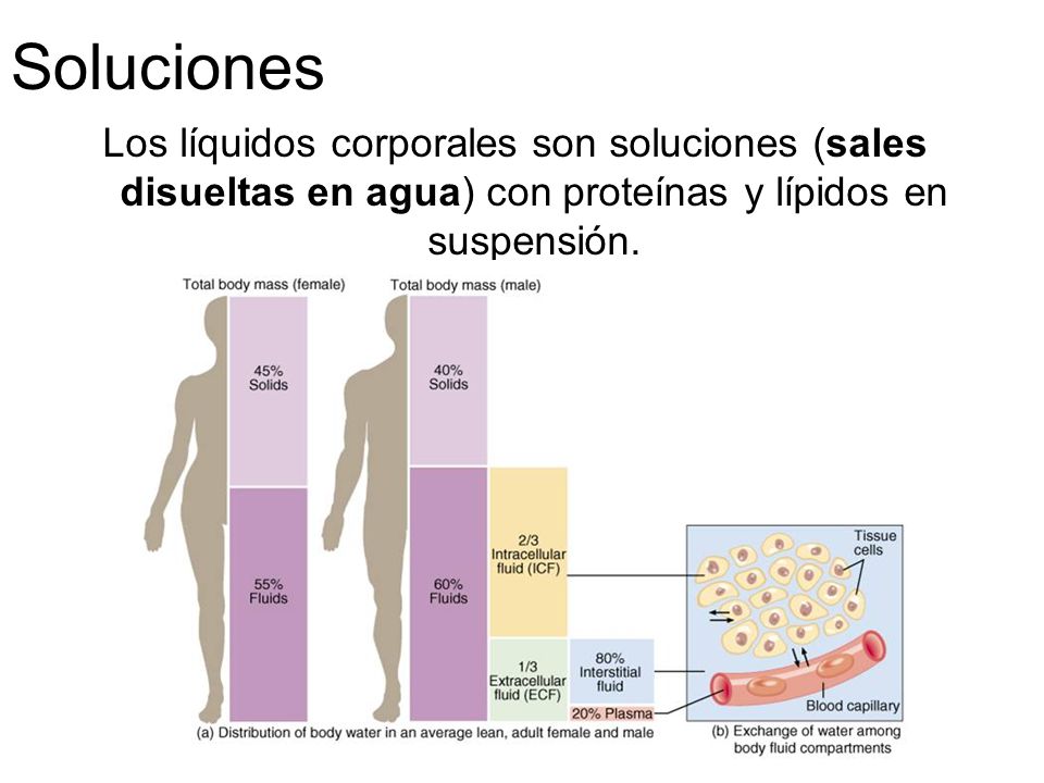 Soluciones Los líquidos corporales son soluciones (sales disueltas en agua) con proteínas y lípidos en suspensión.