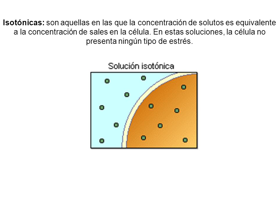 Isotónicas: son aquellas en las que la concentración de solutos es equivalente a la concentración de sales en la célula.