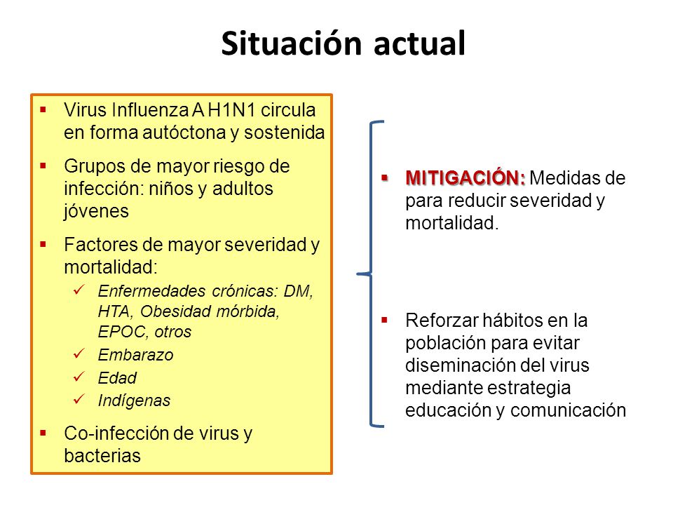 Situación actual Virus Influenza A H1N1 circula en forma autóctona y sostenida. Grupos de mayor riesgo de infección: niños y adultos jóvenes.