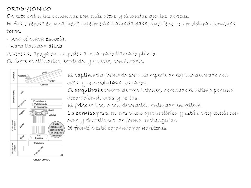 ORDEN JÓNICO En este orden las columnas son más altas y delgadas que las dóricas.