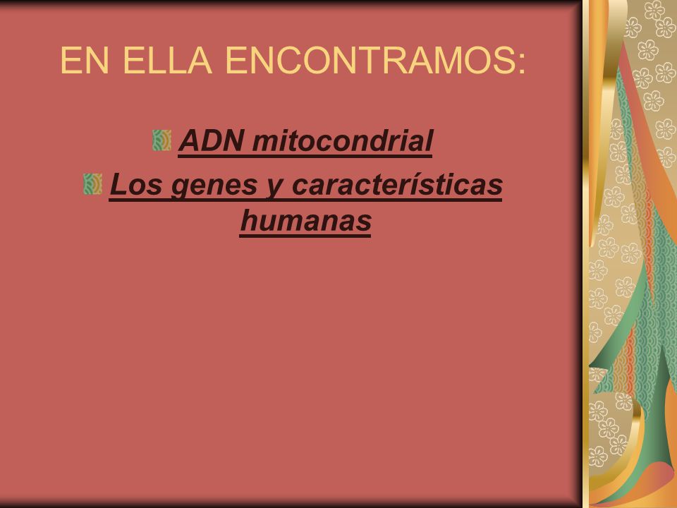 Los genes y características humanas