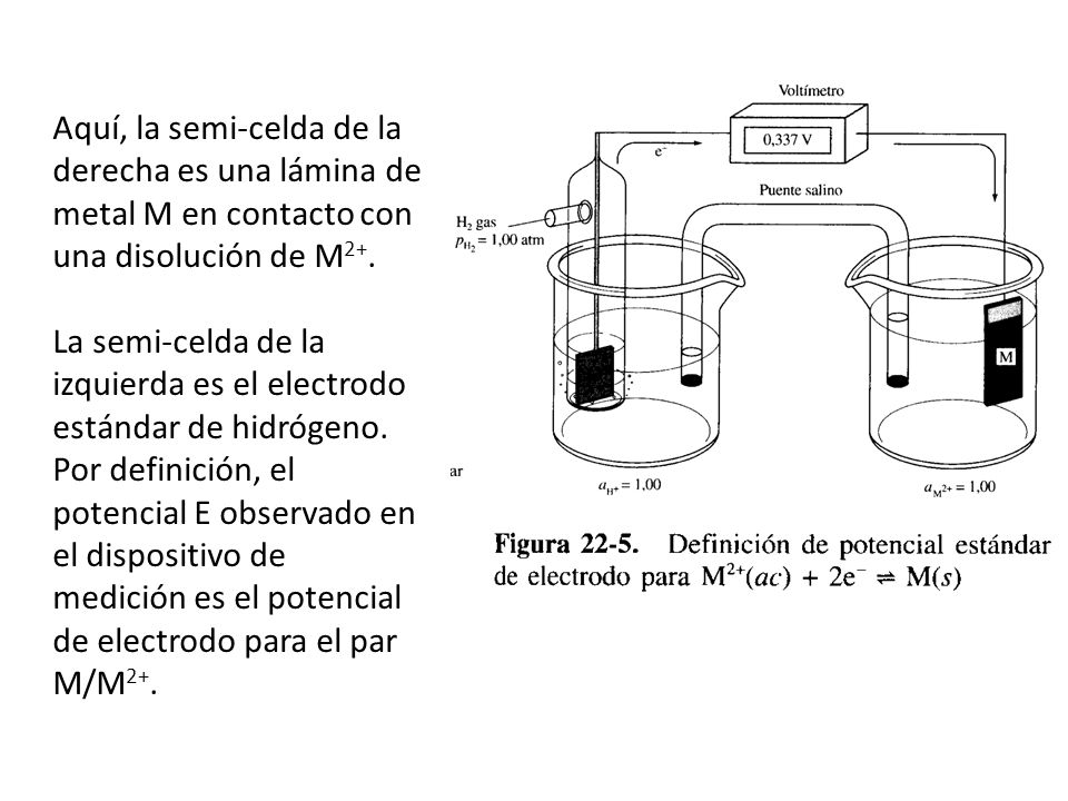 Aquí, la semi-celda de la derecha es una lámina de metal M en contacto con una disolución de M2+.