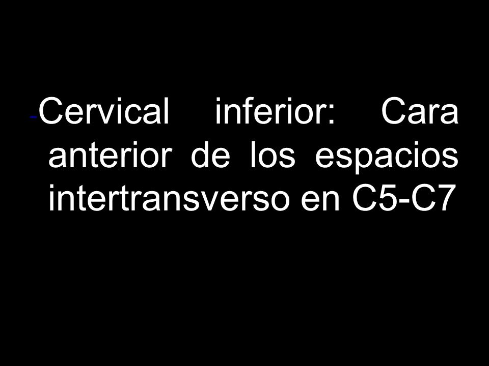 -Cervical inferior: Cara anterior de los espacios intertransverso en C5-C7
