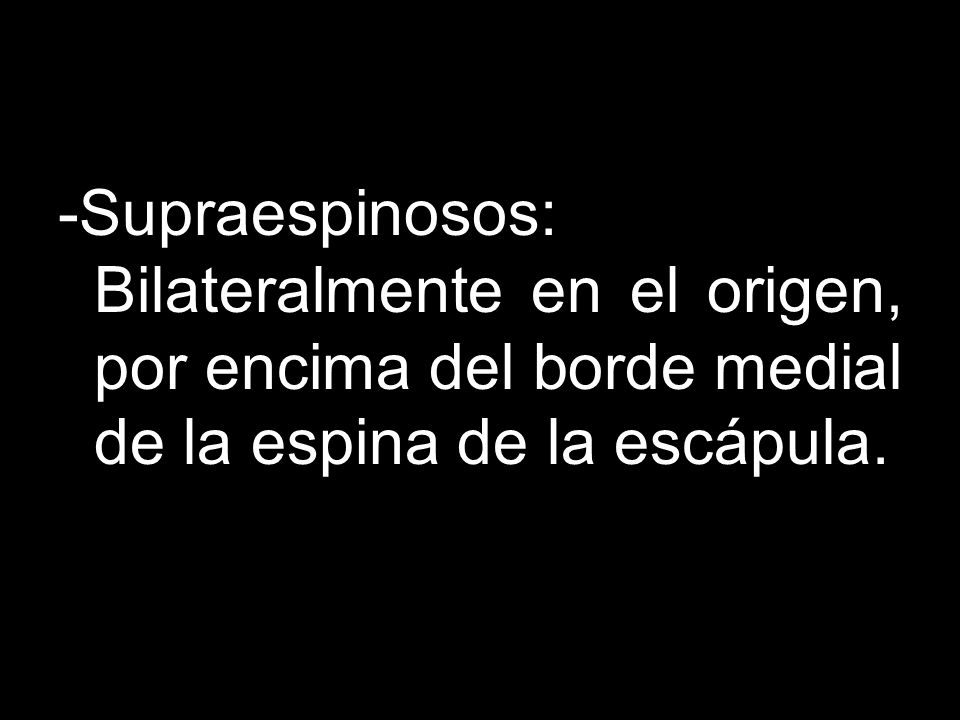 -Supraespinosos: Bilateralmente en el origen, por encima del borde medial de la espina de la escápula.