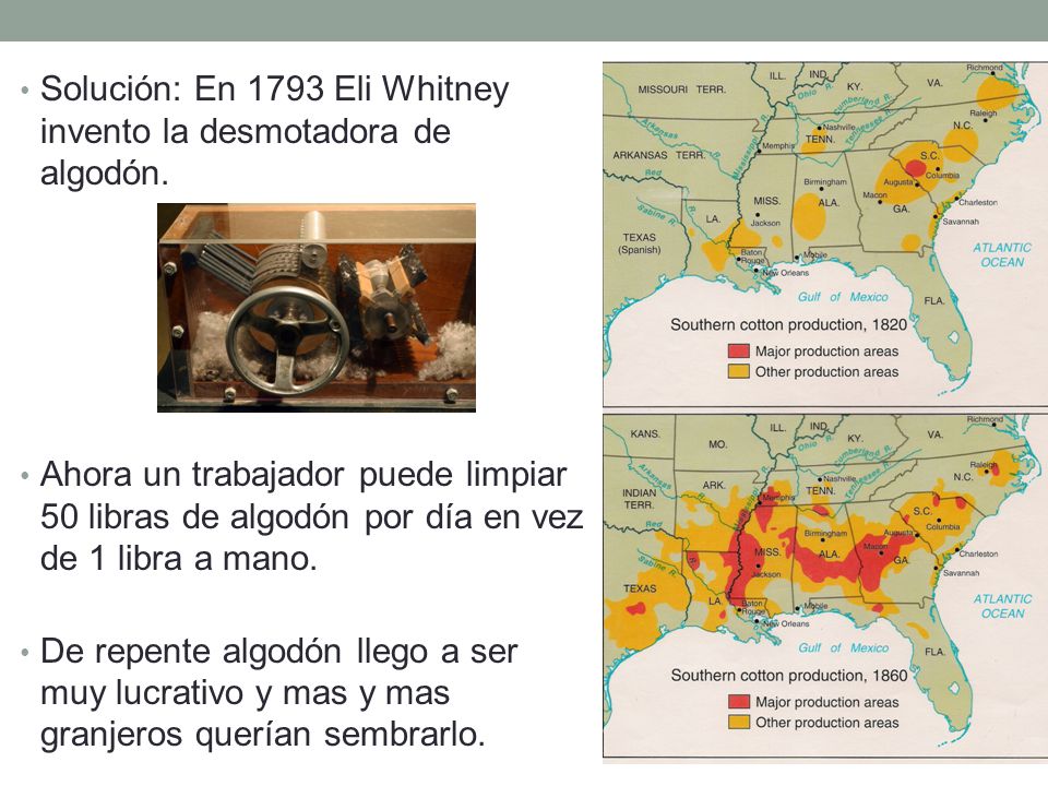 Solución: En 1793 Eli Whitney invento la desmotadora de algodón.