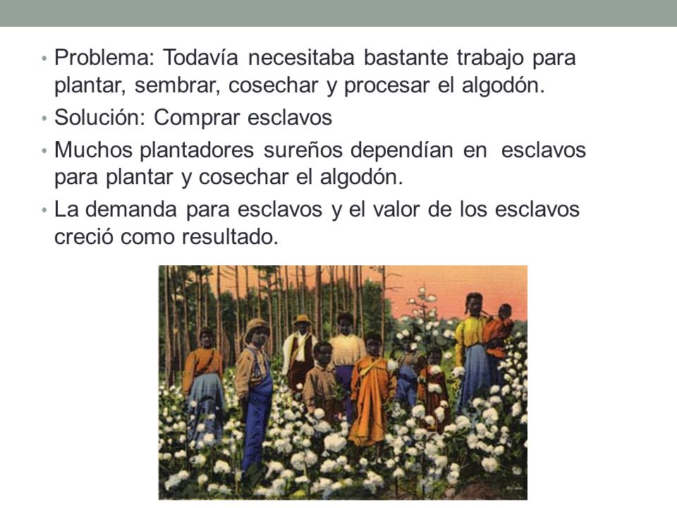 Problema: Todavía necesitaba bastante trabajo para plantar, sembrar, cosechar y procesar el algodón.