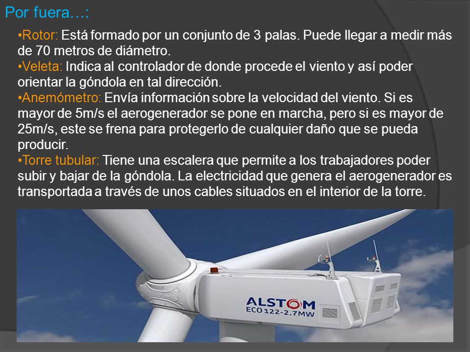 Por fuera…: Rotor: Está formado por un conjunto de 3 palas. Puede llegar a medir más de 70 metros de diámetro.