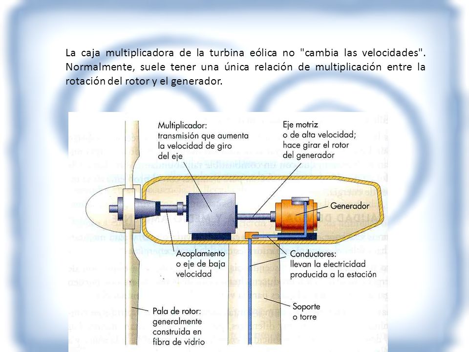 La caja multiplicadora de la turbina eólica no cambia las velocidades .