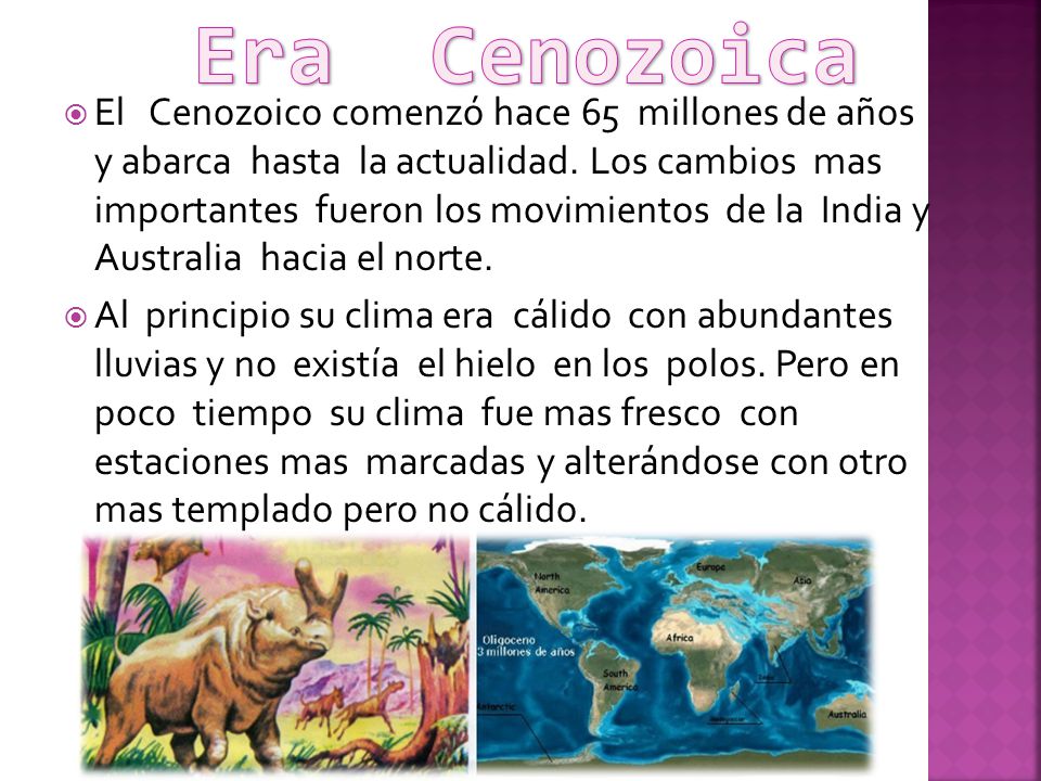 Era Cenozoica