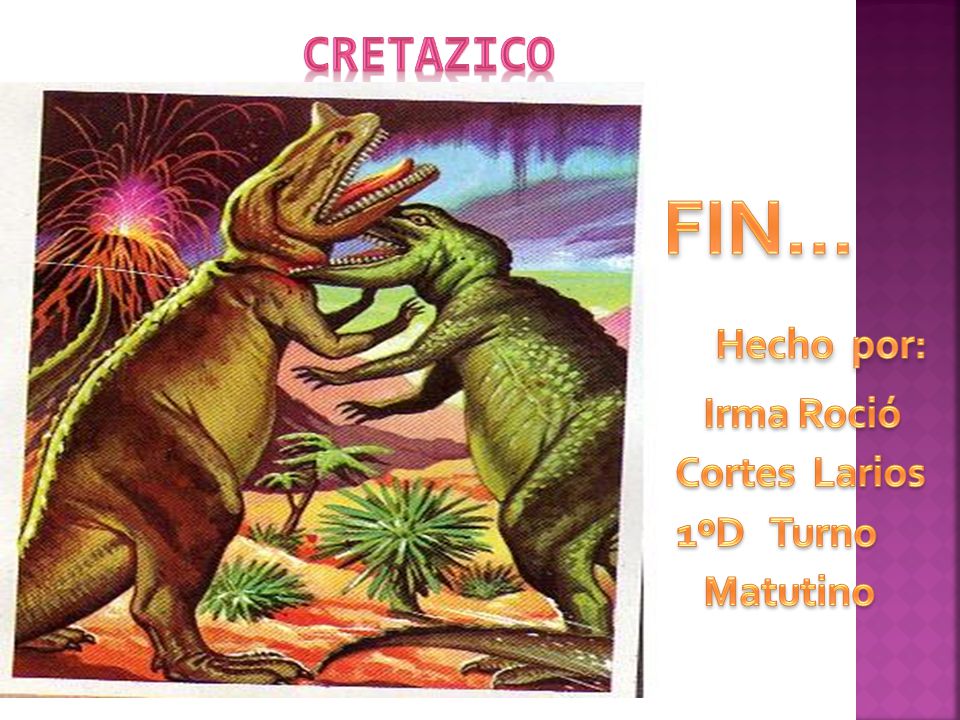 Hecho por: cretazico Irma Roció Cortes Larios 1ºD Turno Matutino ç