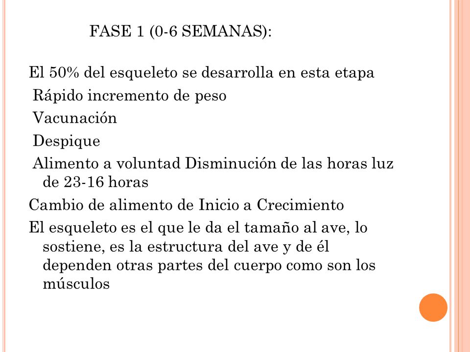 FASE 1 (0-6 SEMANAS): El 50% del esqueleto se desarrolla en esta etapa Rápido incremento de peso Vacunación Despique Alimento a voluntad Disminución de las horas luz de horas Cambio de alimento de Inicio a Crecimiento El esqueleto es el que le da el tamaño al ave, lo sostiene, es la estructura del ave y de él dependen otras partes del cuerpo como son los músculos