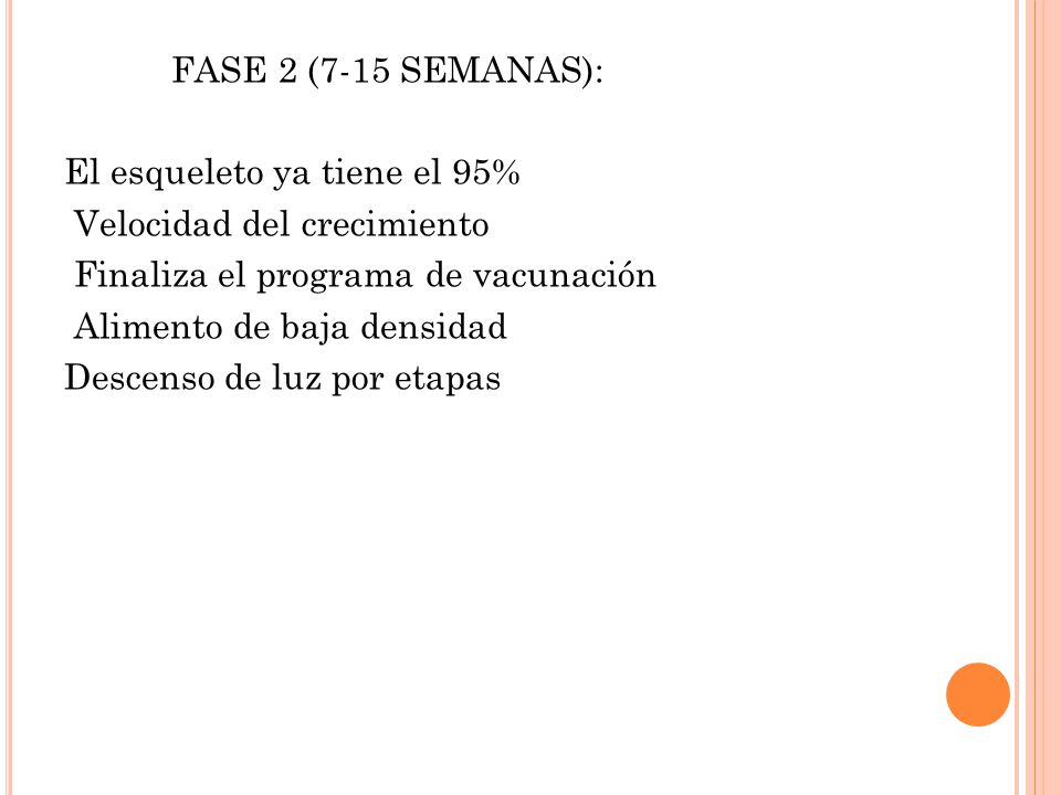 FASE 2 (7-15 SEMANAS): El esqueleto ya tiene el 95% Velocidad del crecimiento Finaliza el programa de vacunación Alimento de baja densidad Descenso de luz por etapas