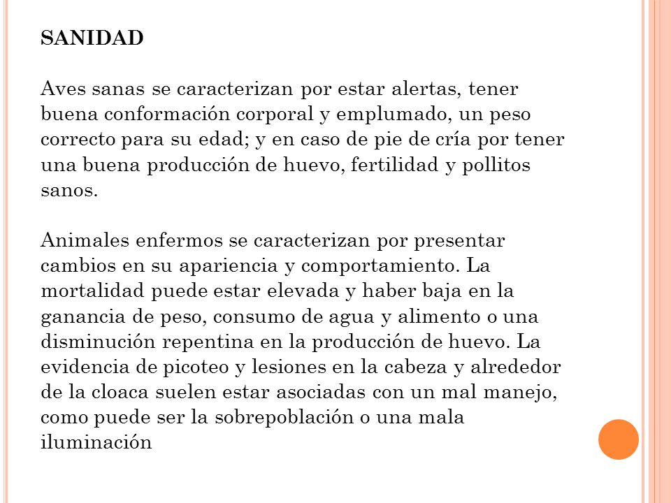 SANIDAD Aves sanas se caracterizan por estar alertas, tener buena conformación corporal y emplumado, un peso correcto para su edad; y en caso de pie de cría por tener una buena producción de huevo, fertilidad y pollitos sanos.