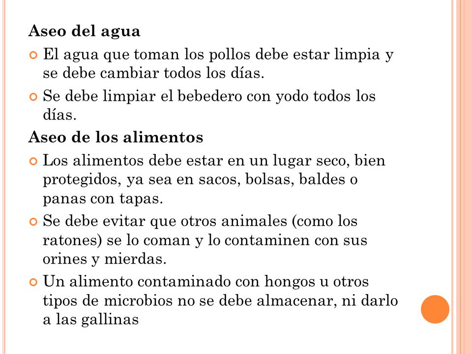 Aseo del agua El agua que toman los pollos debe estar limpia y se debe cambiar todos los días.