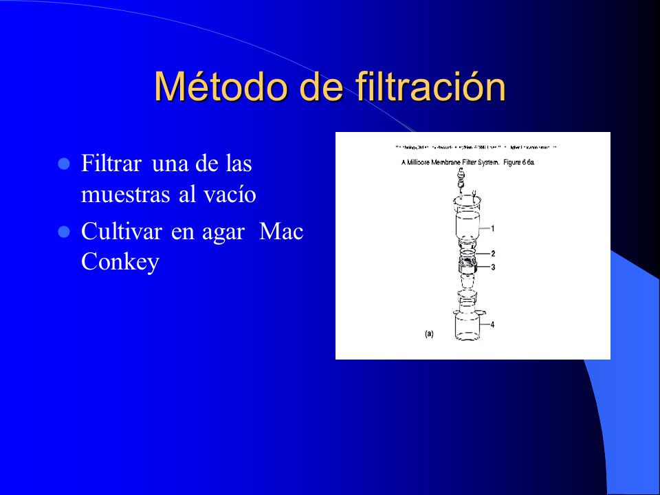 Método de filtración Filtrar una de las muestras al vacío